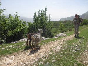 IMG_8716