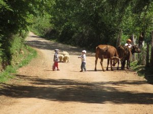 IMG_8797