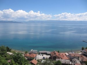 IMG_8869