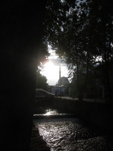IMG_9172