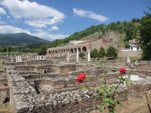 IMG_9195