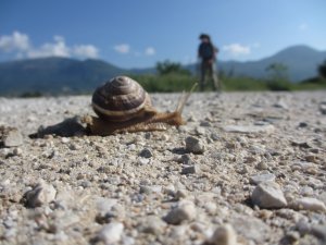 IMG_9443